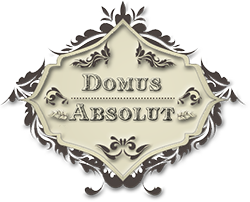 Компанія Domus Absolut