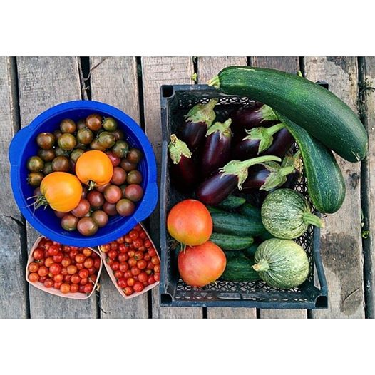 фермерські продукти