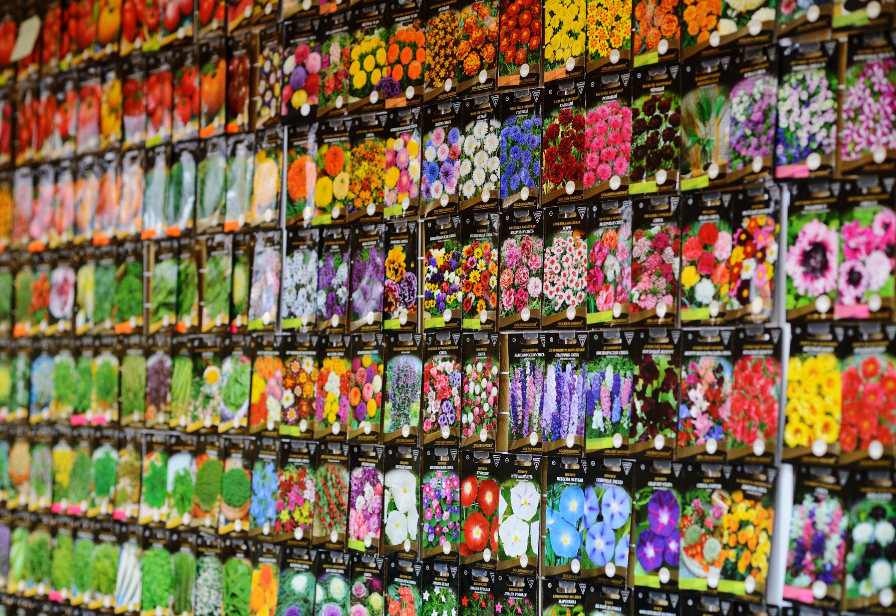 насіння ТМ Росток