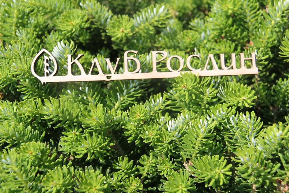 ТМ Клуб Рослин
