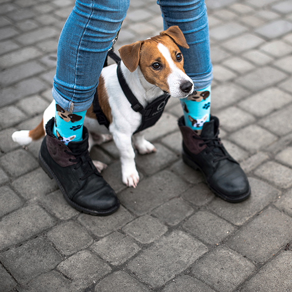 шкарпетки з принтом