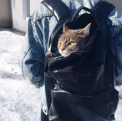 сумка молодіжна