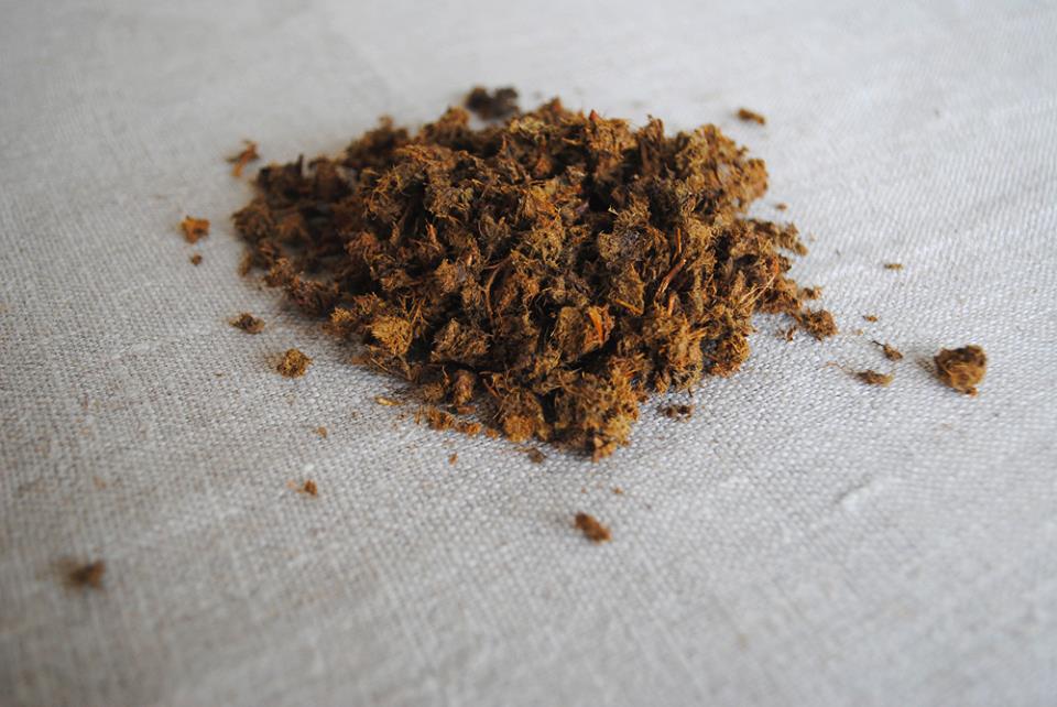 чай з яблучного листя